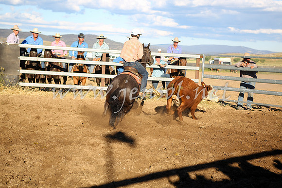AdaminabyCampdraft2016_5760