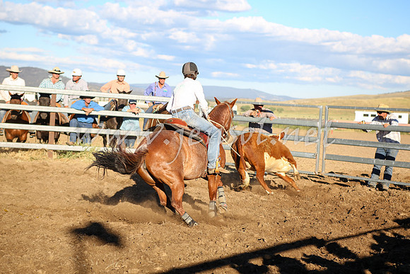 AdaminabyCampdraft2016_5693