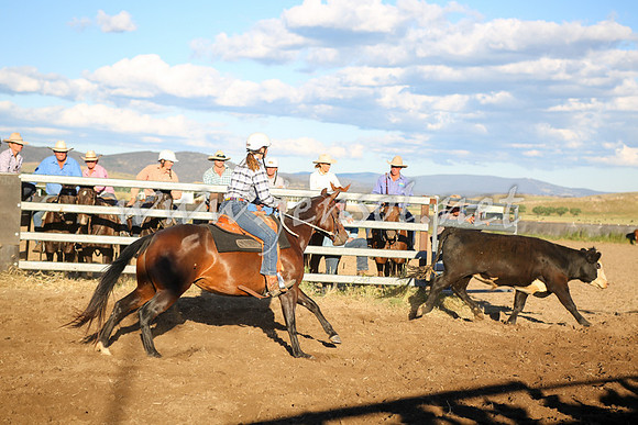 AdaminabyCampdraft2016_5921