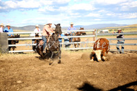 AdaminabyCampdraft2016_5575