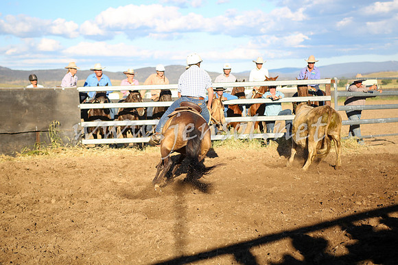 AdaminabyCampdraft2016_5838
