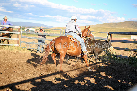 AdaminabyCampdraft2016_5713