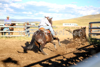 AdaminabyCampdraft2016_5627
