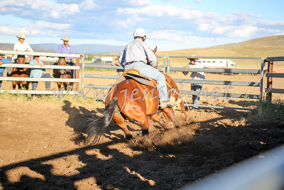AdaminabyCampdraft2016_5874