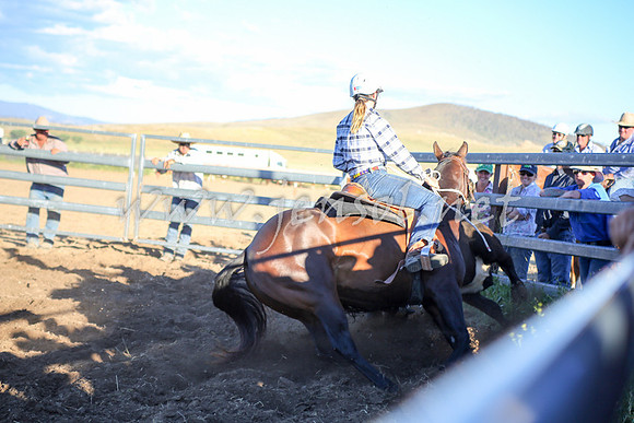 AdaminabyCampdraft2016_5910