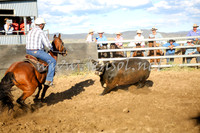 AdaminabyCampdraft2016_5593