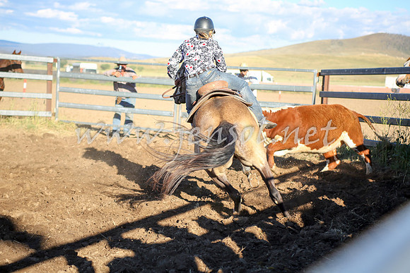 AdaminabyCampdraft2016_5582