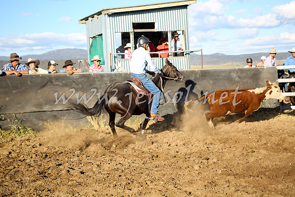 AdaminabyCampdraft2016_5778