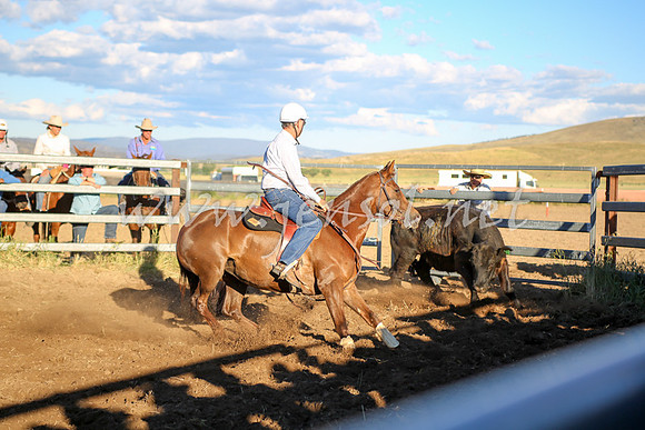 AdaminabyCampdraft2016_5899