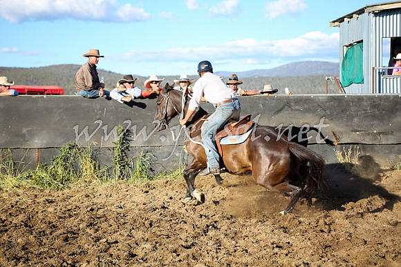 AdaminabyCampdraft2016_5680
