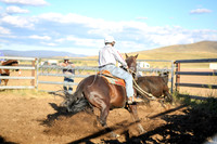 AdaminabyCampdraft2016_5600