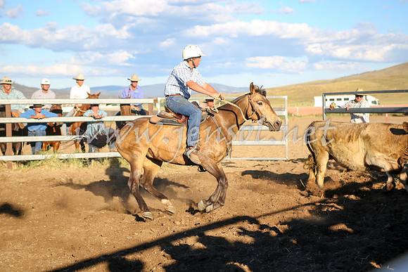 AdaminabyCampdraft2016_5836