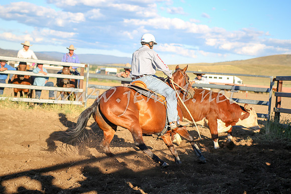 AdaminabyCampdraft2016_5861