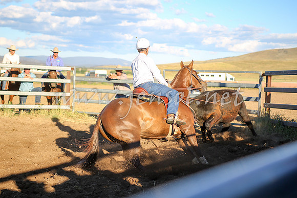 AdaminabyCampdraft2016_5894