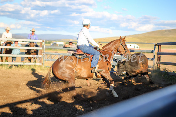 AdaminabyCampdraft2016_5891