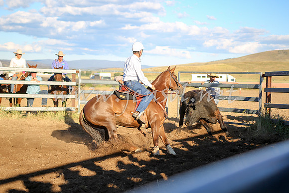 AdaminabyCampdraft2016_5900