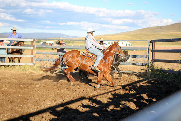 AdaminabyCampdraft2016_5734