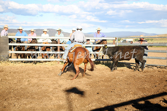 AdaminabyCampdraft2016_5721