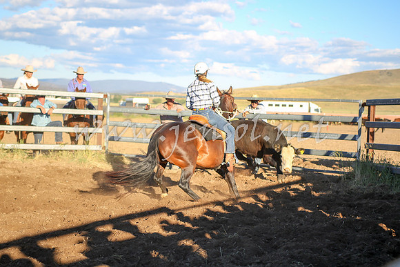 AdaminabyCampdraft2016_5915