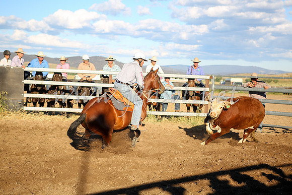 AdaminabyCampdraft2016_5868