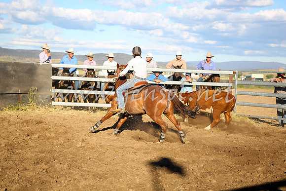 AdaminabyCampdraft2016_5697