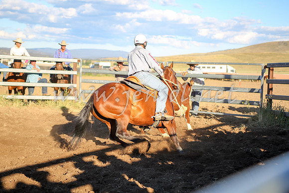 AdaminabyCampdraft2016_5873