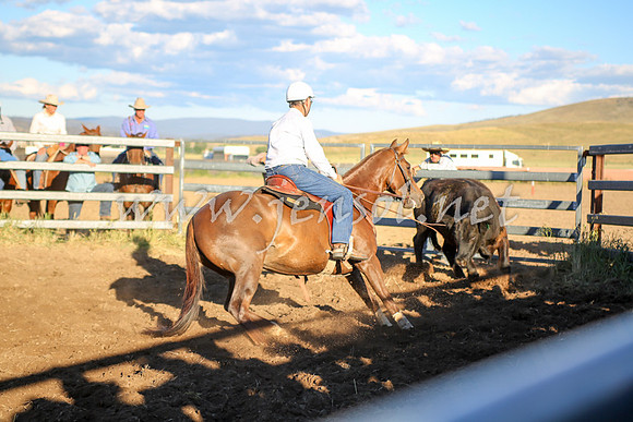 AdaminabyCampdraft2016_5897