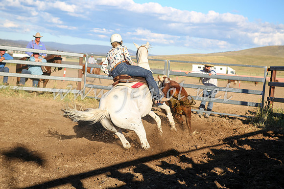 AdaminabyCampdraft2016_5668