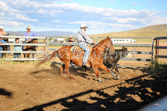 AdaminabyCampdraft2016_5728