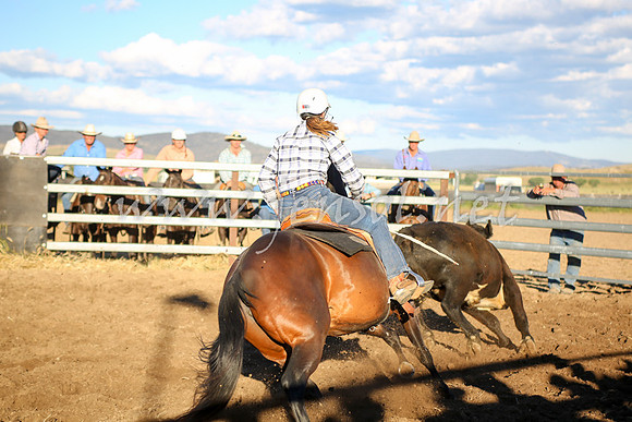 AdaminabyCampdraft2016_5903