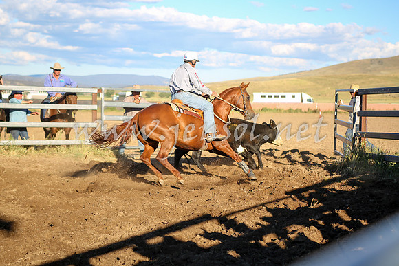 AdaminabyCampdraft2016_5739