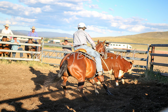 AdaminabyCampdraft2016_5865