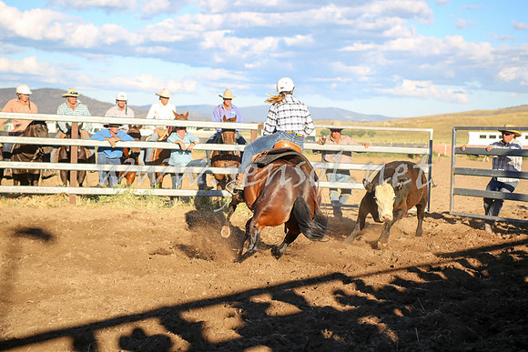 AdaminabyCampdraft2016_5918