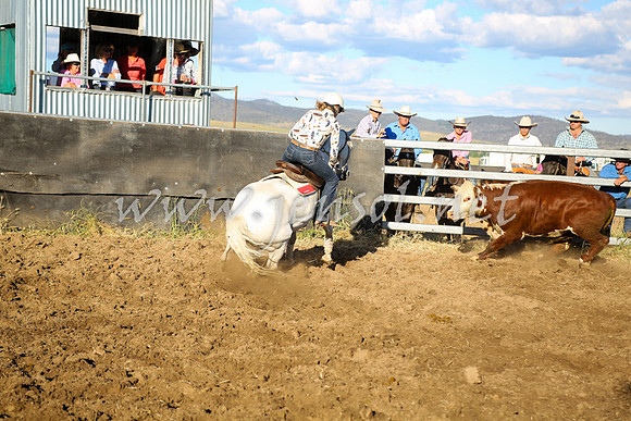 AdaminabyCampdraft2016_5665