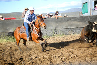 AdaminabyCampdraft2016_5588