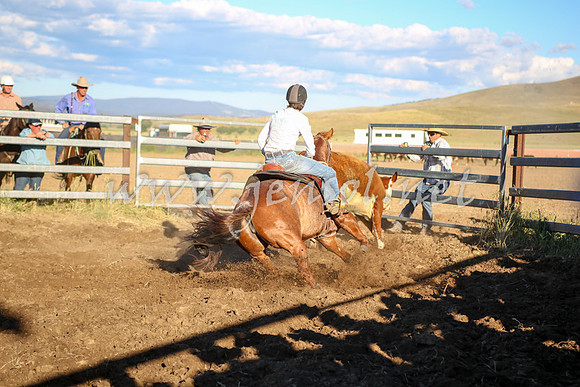 AdaminabyCampdraft2016_5704