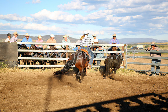 AdaminabyCampdraft2016_5912
