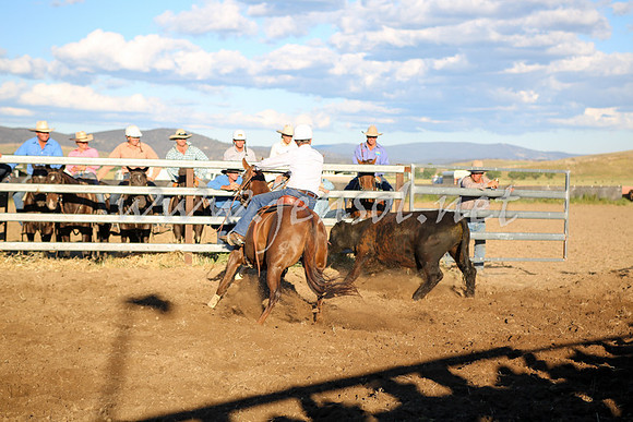 AdaminabyCampdraft2016_5902