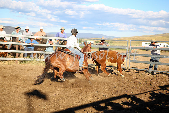 AdaminabyCampdraft2016_5702