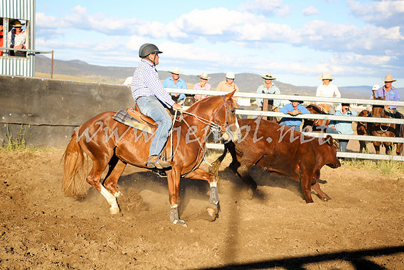 AdaminabyCampdraft2016_5851