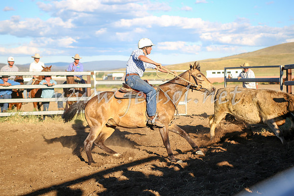 AdaminabyCampdraft2016_5834