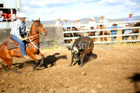 AdaminabyCampdraft2016_5595