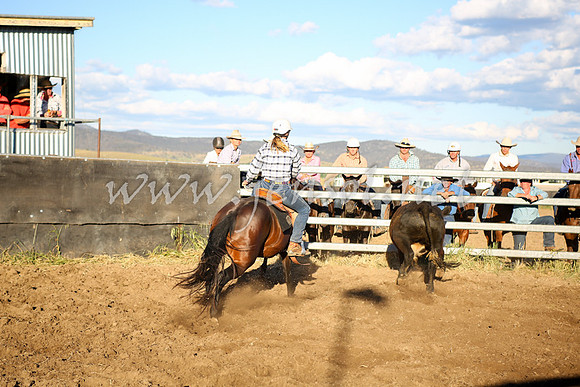 AdaminabyCampdraft2016_5909