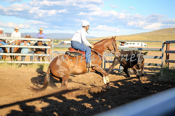AdaminabyCampdraft2016_5898