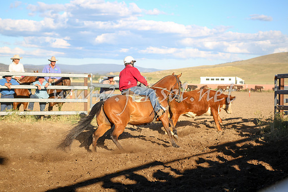 AdaminabyCampdraft2016_5814