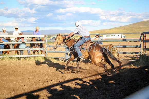 AdaminabyCampdraft2016_5831