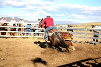 AdaminabyCampdraft2016_5630