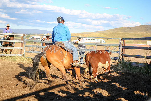 AdaminabyCampdraft2016_5741