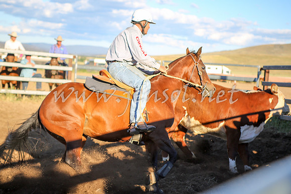 AdaminabyCampdraft2016_5867