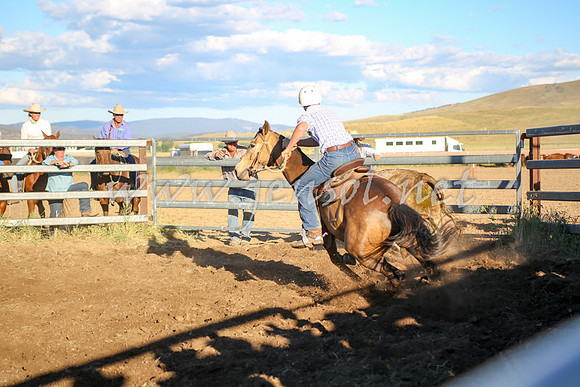 AdaminabyCampdraft2016_5832